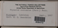 Image Associated With the Occurence